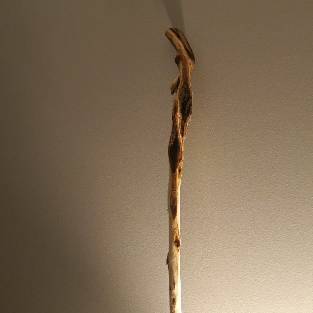 Diamond Willow cane, walking stick